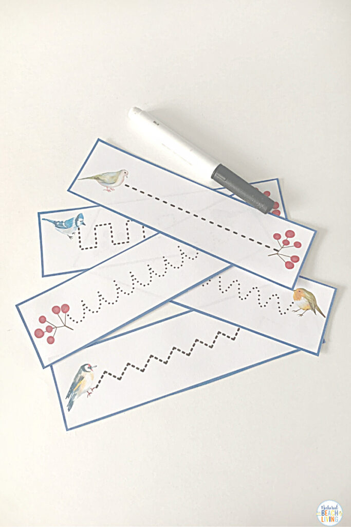 These bird activities are sure to keep the kids having fun this winter. There are so many printables and activities for a bird unit! Montessori Winter Bird Activities and Bird Theme for Preschool and Kindergarten that include Math, crafts, literacy, fine motor, science, movement activities, writing prompts, and so much more.