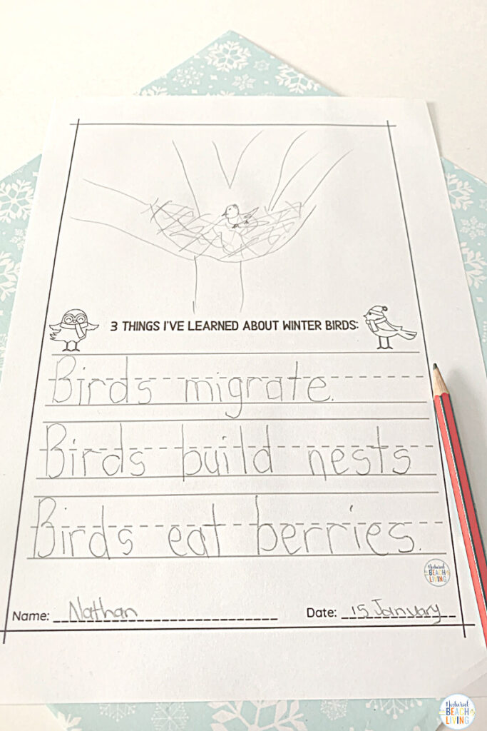 These bird activities are sure to keep the kids having fun this winter. There are so many printables and activities for a bird unit! Montessori Winter Bird Activities and Bird Theme for Preschool and Kindergarten that include Math, crafts, literacy, fine motor, science, movement activities, writing prompts, and so much more. 