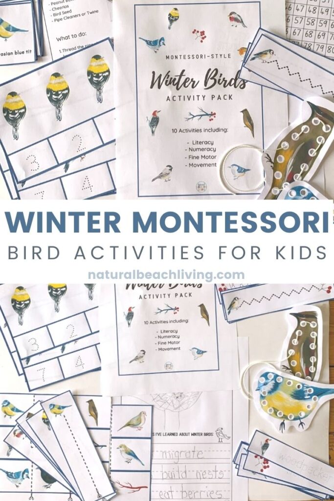 These bird activities are sure to keep the kids having fun this winter. There are so many printables and activities for a bird unit! Montessori Winter Bird Activities and Bird Theme for Preschool and Kindergarten that include Math, crafts, literacy, fine motor, science, movement activities, writing prompts, and so much more.