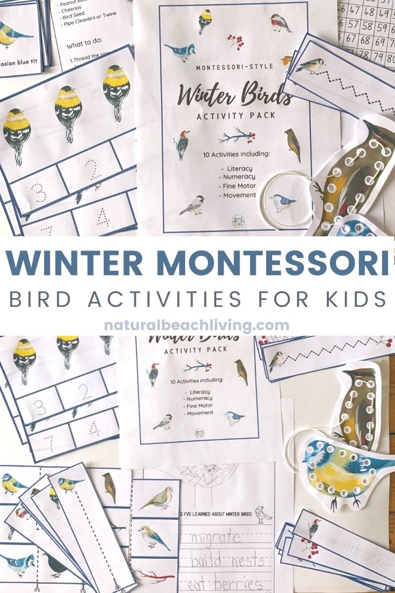 Montessori Winter Bird Activities