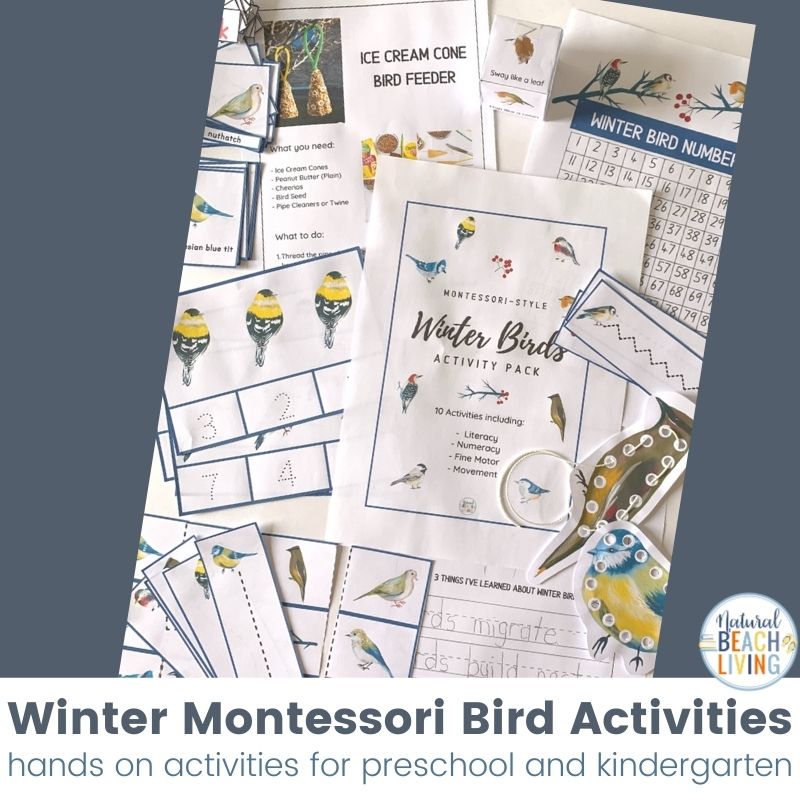 These bird activities are sure to keep the kids having fun this winter. There are so many printables and activities for a bird unit! Montessori Winter Bird Activities and Bird Theme for Preschool and Kindergarten that include Math, crafts, literacy, fine motor, science, movement activities, writing prompts, and so much more.