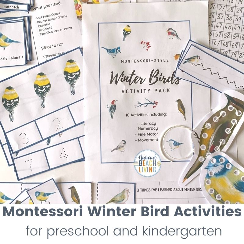 These bird activities are sure to keep the kids having fun this winter. There are so many printables and activities for a bird unit! Montessori Winter Bird Activities and Bird Theme for Preschool and Kindergarten that include Math, crafts, literacy, fine motor, science, movement activities, writing prompts, and so much more.