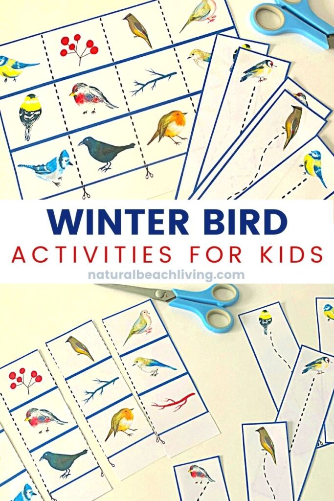These bird activities are sure to keep the kids having fun this winter. There are so many printables and activities for a bird unit! Montessori Winter Bird Activities and Bird Theme for Preschool and Kindergarten that include Math, crafts, literacy, fine motor, science, movement activities, writing prompts, and so much more.