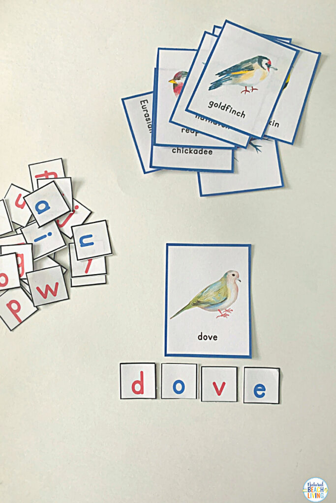 These bird activities are sure to keep the kids having fun this winter. There are so many printables and activities for a bird unit! Montessori Winter Bird Activities and Bird Theme for Preschool and Kindergarten that include Math, crafts, literacy, fine motor, science, movement activities, writing prompts, and so much more.