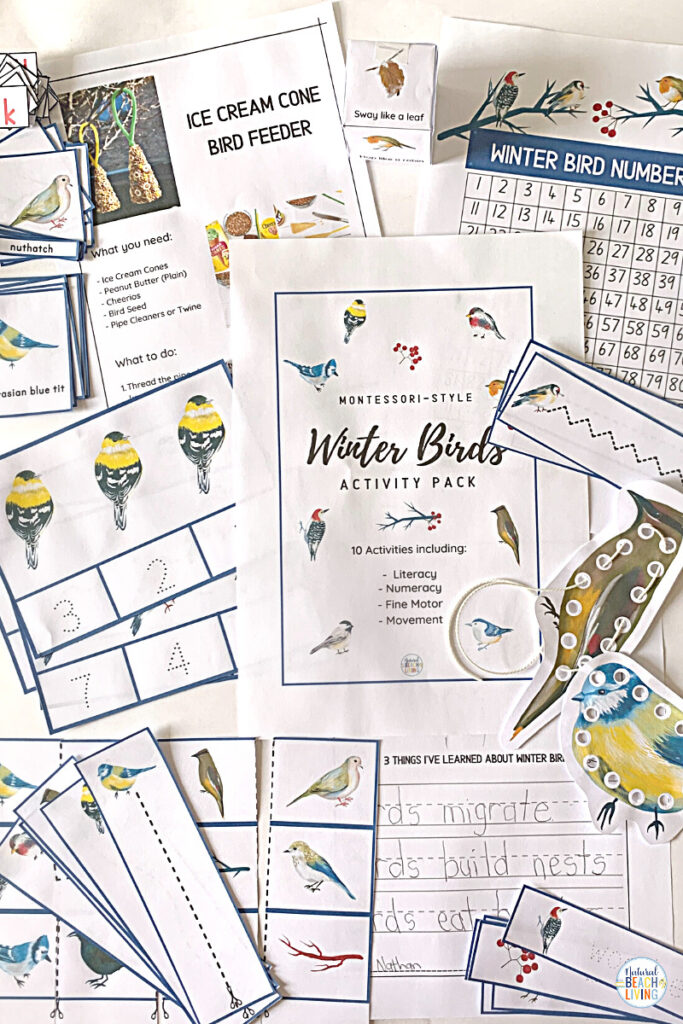 These bird activities are sure to keep the kids having fun this winter. There are so many printables and activities for a bird unit! Montessori Winter Bird Activities and Bird Theme for Preschool and Kindergarten that include Math, crafts, literacy, fine motor, science, movement activities, writing prompts, and so much more. 