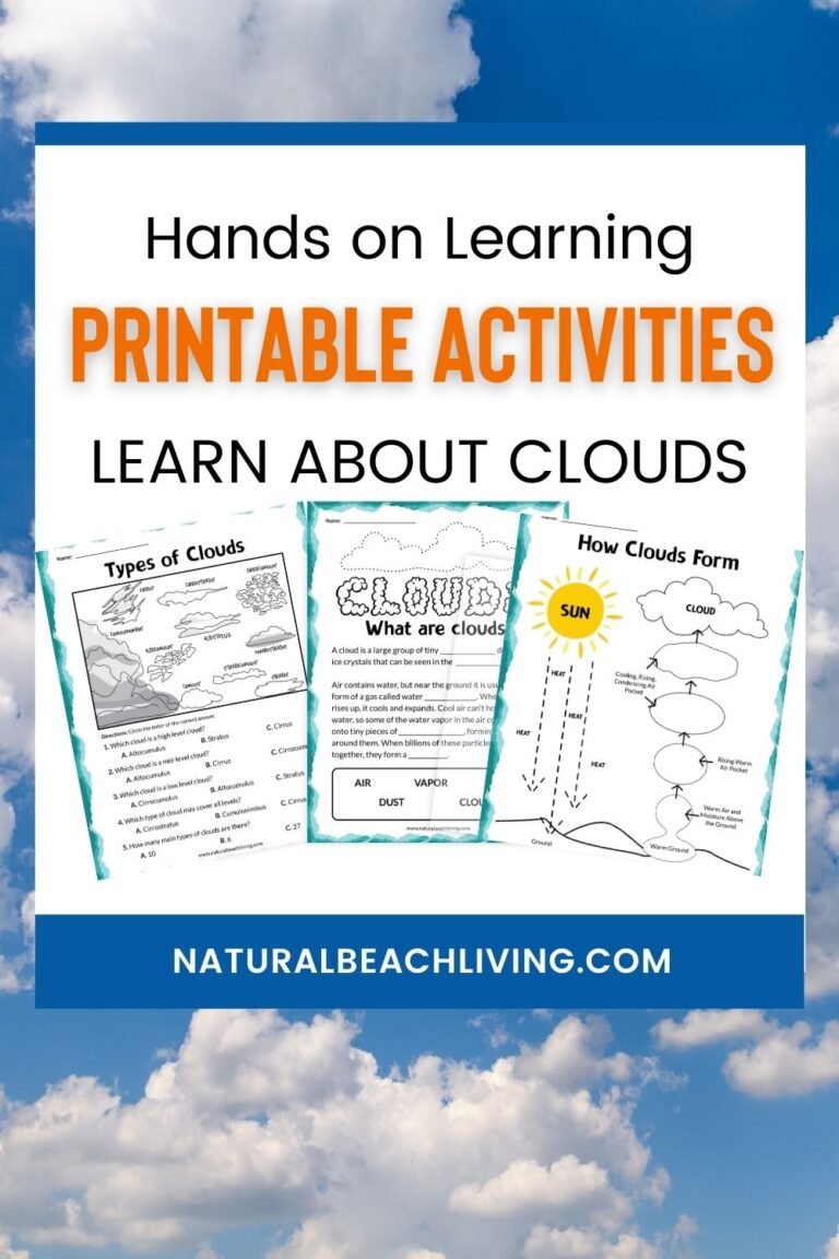 Clouds Activities for Kindergarten and Types of Clouds Activities ...