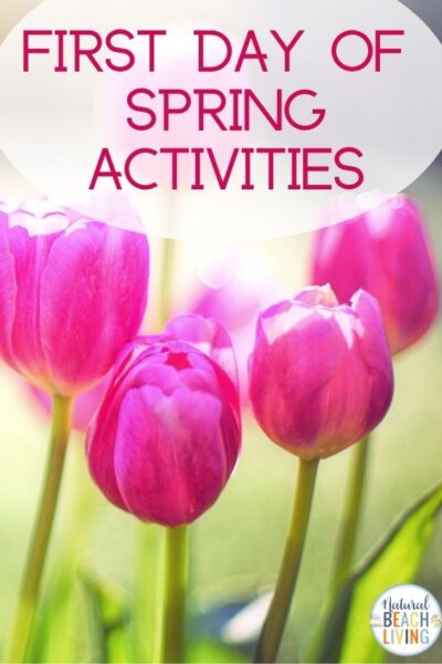 First Day of Spring Activities - Fun Spring Ideas for the Whole Family ...