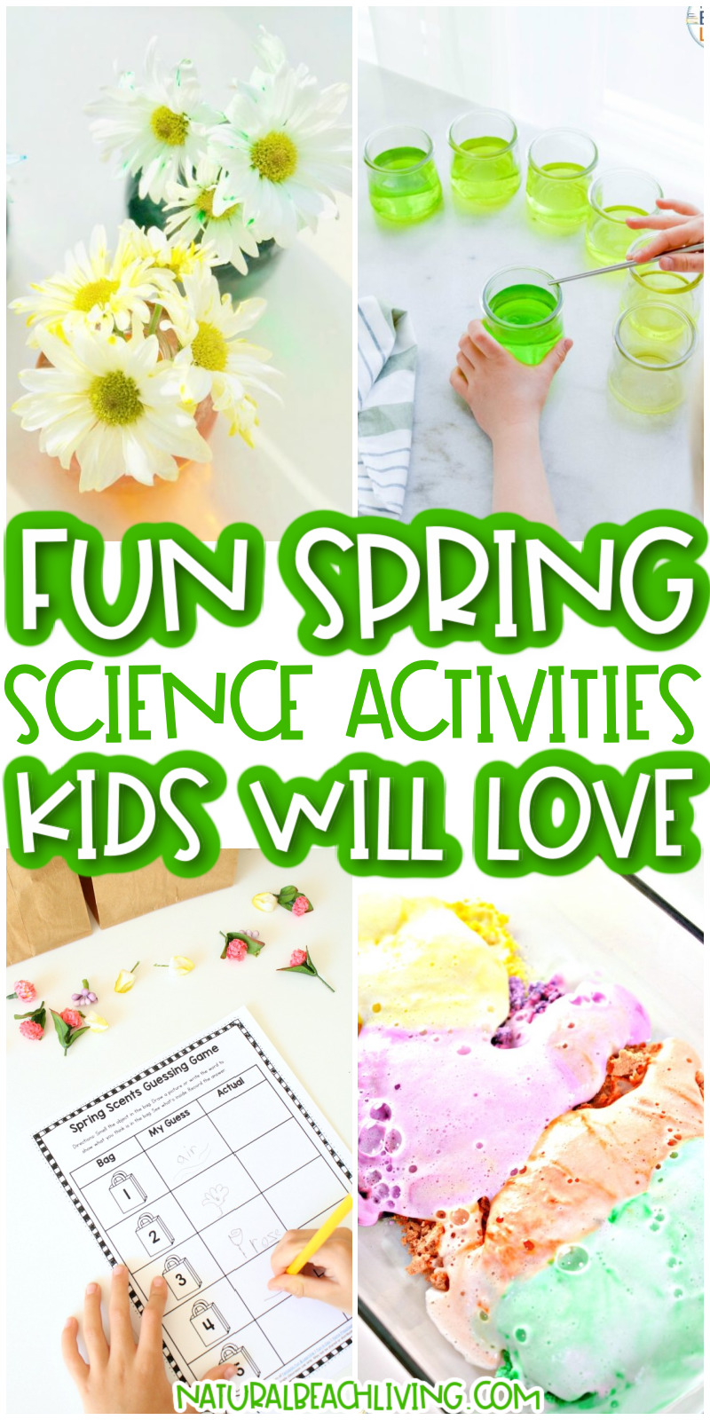 The Best Spring Preschool Themes Lesson Plans, Free Printable, Life cycles, Flower activities, Farm, Preschool books, Pond Theme, Animal habitats