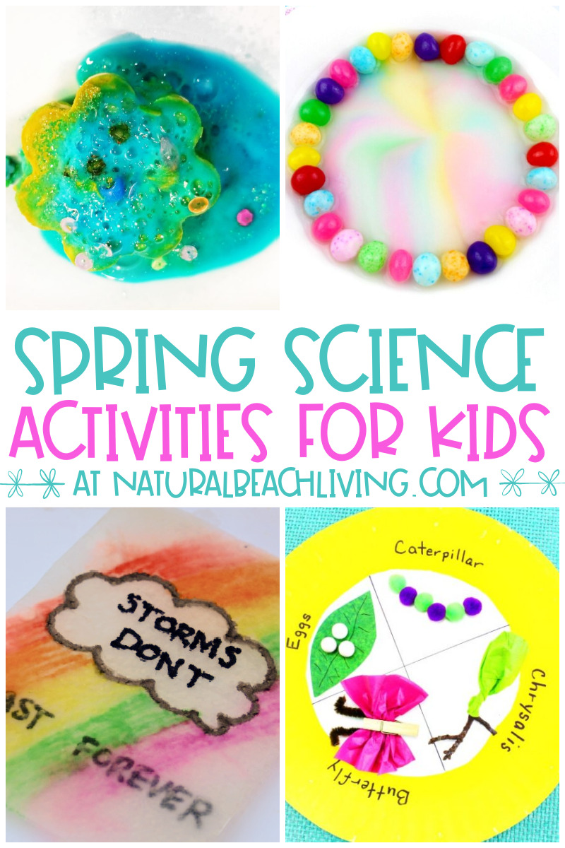 30+ Spring Activities for Preschoolers Science and Nature