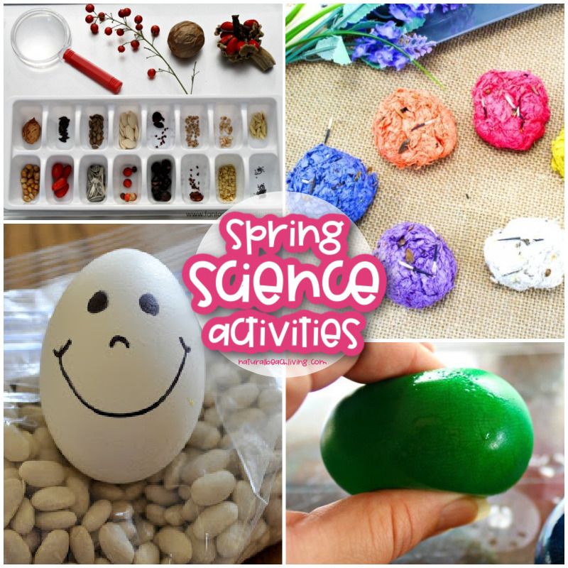 25 fun spring science activities for kids of all ages. From preschoolers to preteens, you'll find fascinating Science projects to try with flowers, jelly beans, seeds, water, static electricity, butterflies, birdseed ornaments, and more. FUN SPRING THEME IDEAS and Spring Activities for Preschoolers Science