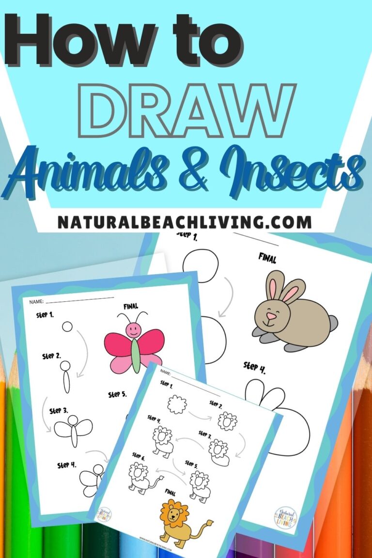 How to Draw Animals and Insects Step by Step Printables for Kids