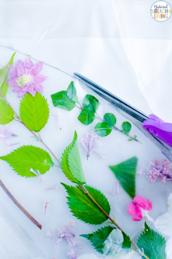 Lovely Flower Butterfly Wings for a DIY Flower Fairy Craft; This is THE BEST Nature Craft, How to make your own DIY butterfly wings for kids from flowers, A fun and easy DIY Flower Fairy Craft for kids. Perfect for Forest School or even a DIY Halloween Costume.