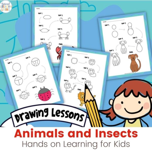 How to Draw Animals and Insects Step by Step Printables for Kids ...