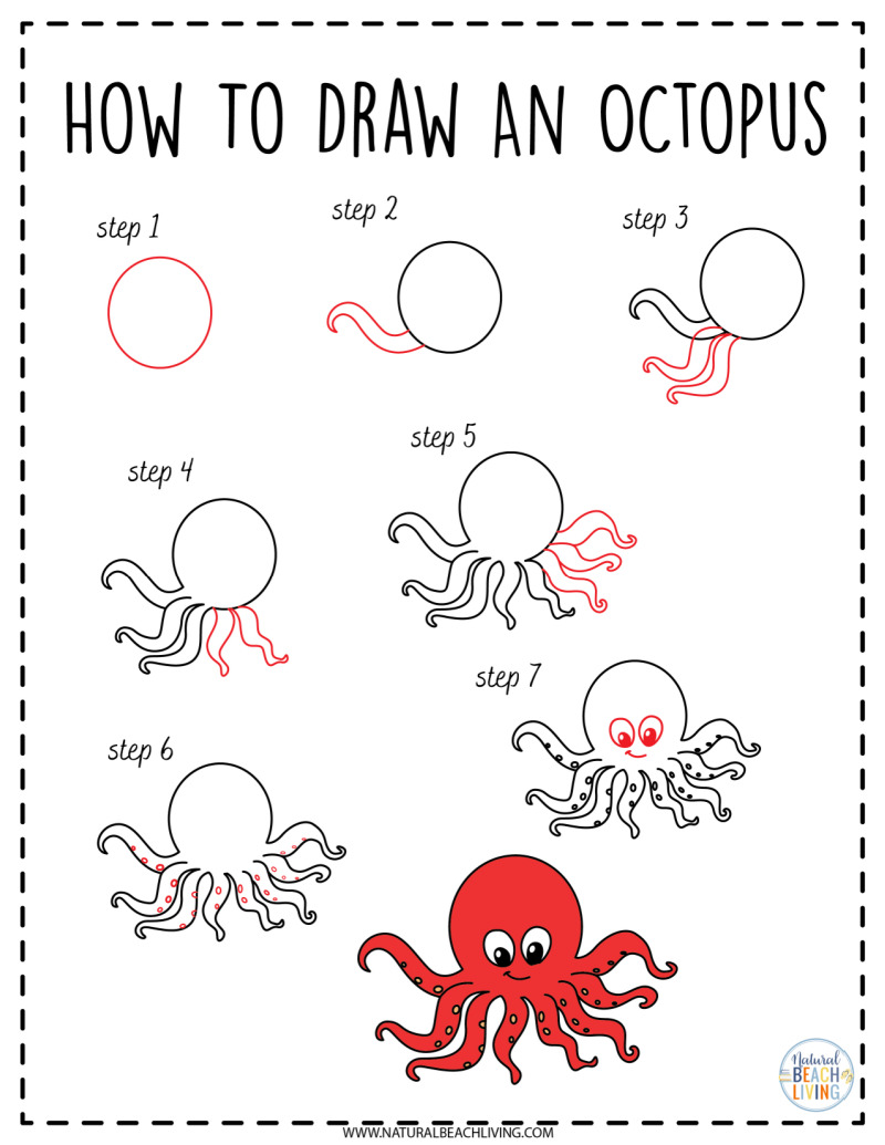 How to Draw Ocean Animals - Natural Beach Living