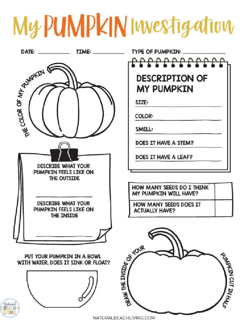 Pumpkin Investigation Worksheets and Activity – This free printable activity and fall fun with this pumpkin investigation activity and parts of a pumpkin activity. They will be asked to collect information for a My Pumpkin Investigation Worksheet by doing a hands-on investigations - Yay Science for kids and fall coloring page