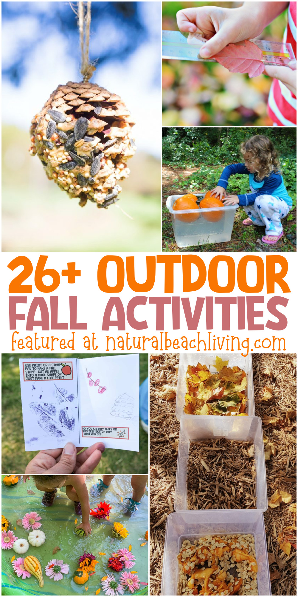 Find over 30 Fall Outdoor Activities for kids of all ages. Activities like making homemade bird feeders, go on an outdoor scavenger hunt, nature sensory bin, Fall STEM or enjoy a sensory walk with your family. Find your favorite fall outdoor activities for kids here
