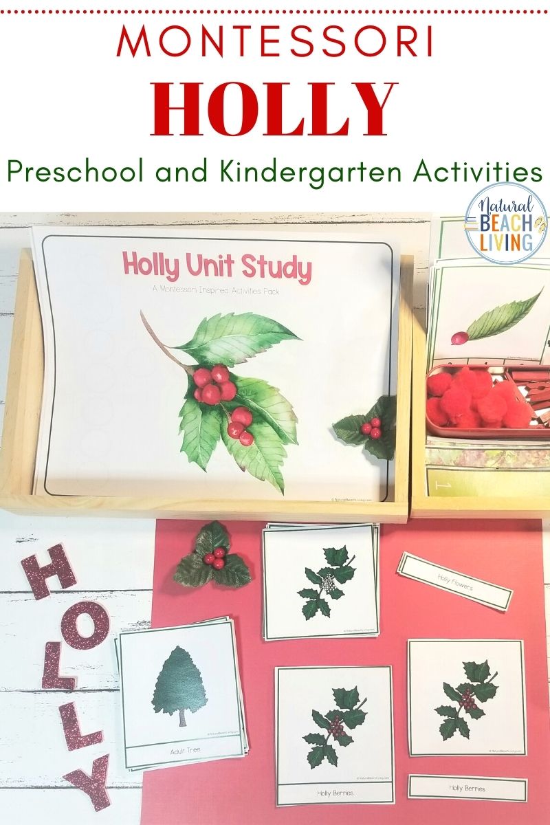Holly Tree Theme Unit for 3-9 year olds. This is an amazing winter theme full of learning opportunities. You'll get Montessori 3 part cards, Holly Coloring Pages, Holly Tree Handwriting Pages, Winter Poetry and Writing Prompts, Holly Tree Life Cycle with Control Chart, Holly Tree Sequencing Cards, and Tons of early math skills activities, Holly Tree Preschool Theme