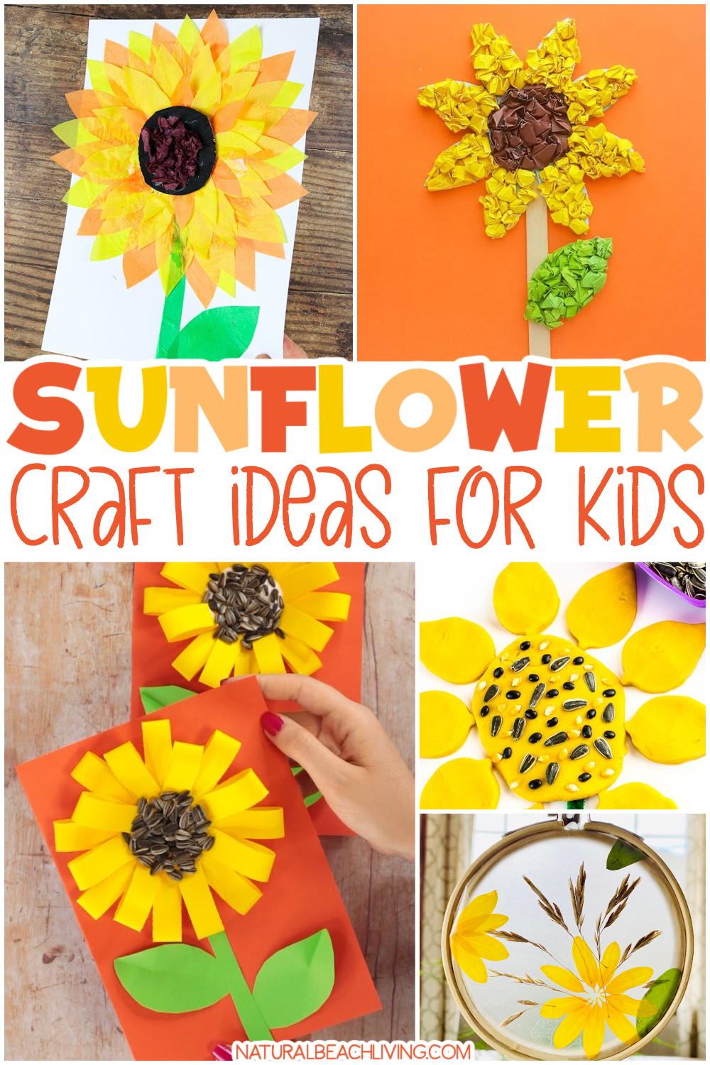 Easy Tissue Paper Sunflower Craft - Arty Crafty Kids