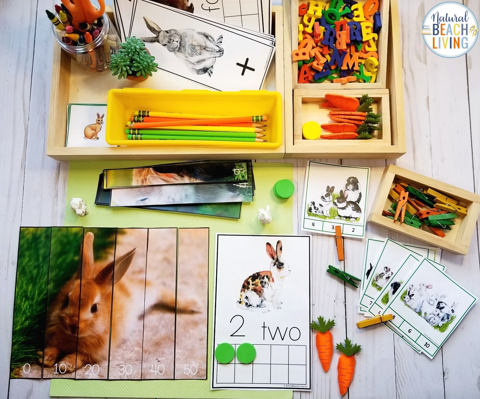 The Best Montessori Bunny Rabbit Themed Lesson Plans are perfect for learning with your preschoolers and Kindergarteners this Spring. Add this Bunny Unit Study and your kids will love learning. Bunny Rabbit Activities for spring theme.