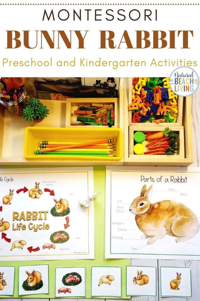 Montessori Bunny Rabbit Themed Lesson Plans Printable Activities