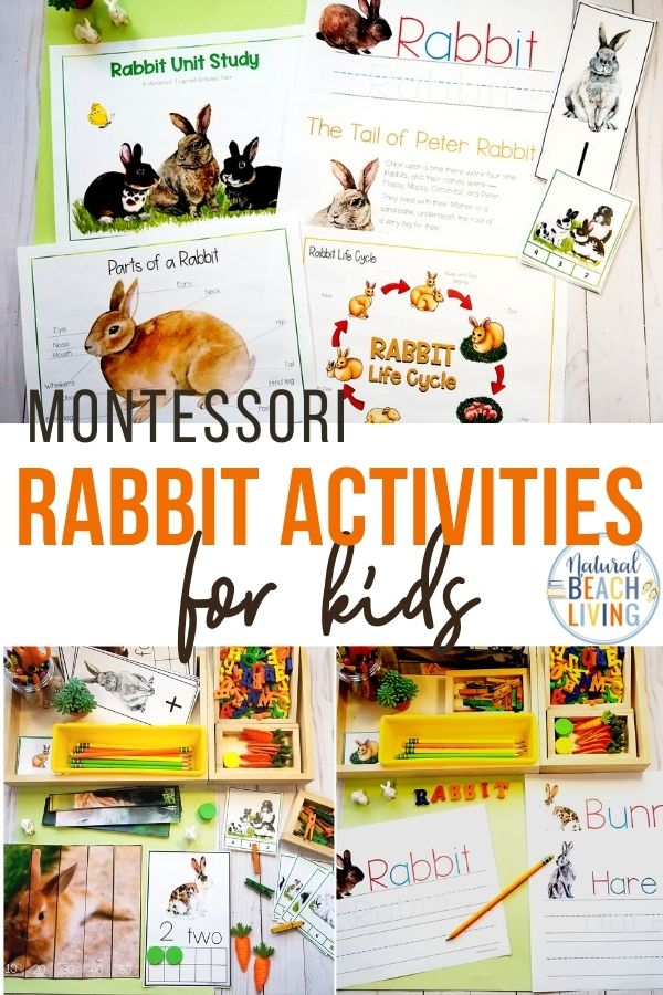 We absolutely love bunny rabbit crafts and could make them every day in the spring. Whether it's spring or Easter you want ideas for these adorable bunny activities shared here will make your whole family happy. Find over 30+ Bunny Rabbit Crafts and Activities for Kids