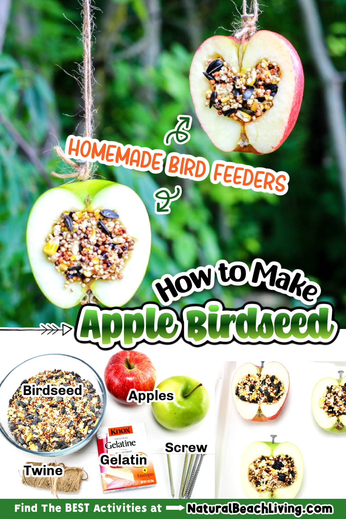 How to Make Apple Birdseed Homemade Bird Feeders, Apple Bird Feeders, These APPLE BIRDSEED BIRD FEEDERS ARE THE BEST! Your backyard birds will flock to your yard with these Easy bird feeders. DIY bird feeders are a great family craft and a fun way to learn about nature. Adding in apples for fall is an extra special homemade bird treat, Homemade Bird Treats, From How to Make bird seed ornaments to DIY birdseed ornaments and Apple Activities for Kids, we have hundreds of fall ideas and activities