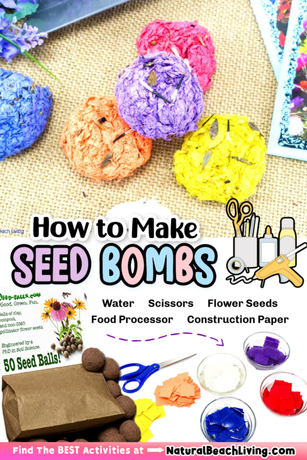 How to Make Seed Bombs for Kids - Easy DIY Seed Bombs Recipe - Natural ...