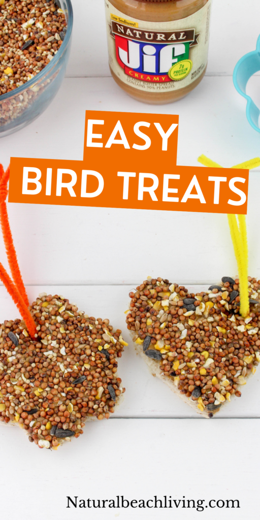 These peanut butter bird treats are so much fun to make. Plus, the birds love them! With just 3 simple ingredients needed, these are so easy to make! The best thing about these bird seed ornaments is it's kid-friendly.