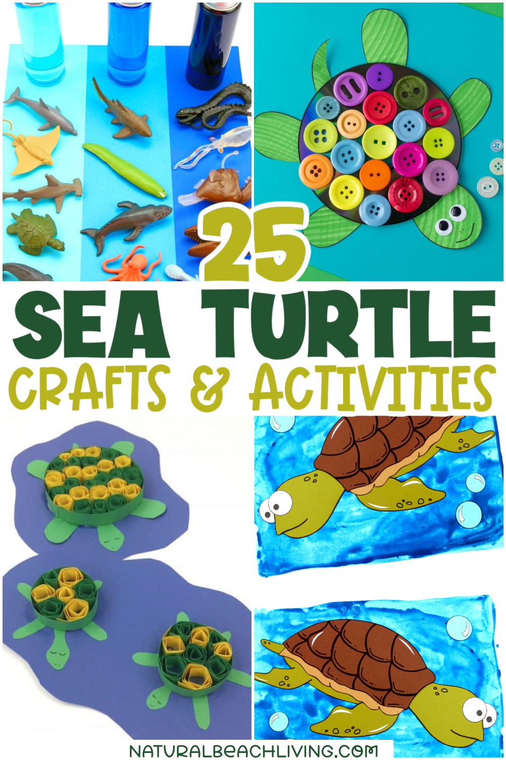 25+ Sea Turtle Crafts and Activities