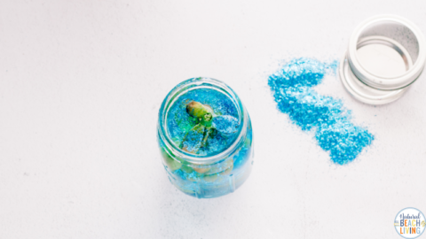 Ocean Sensory Bottle for Kids with Video - Natural Beach Living