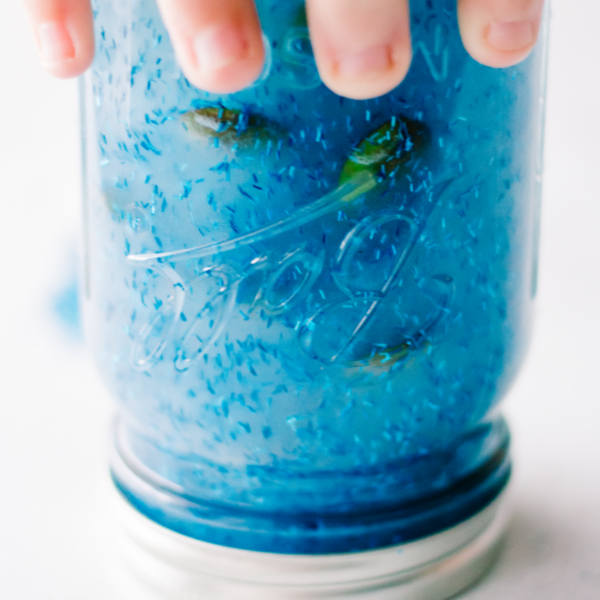 Ocean Sensory Bottle for Kids with Video - Natural Beach Living
