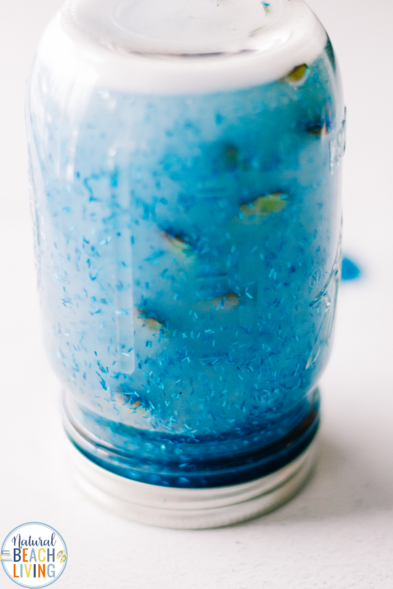 Ocean Sensory Bottle for Kids with Video - Natural Beach Living