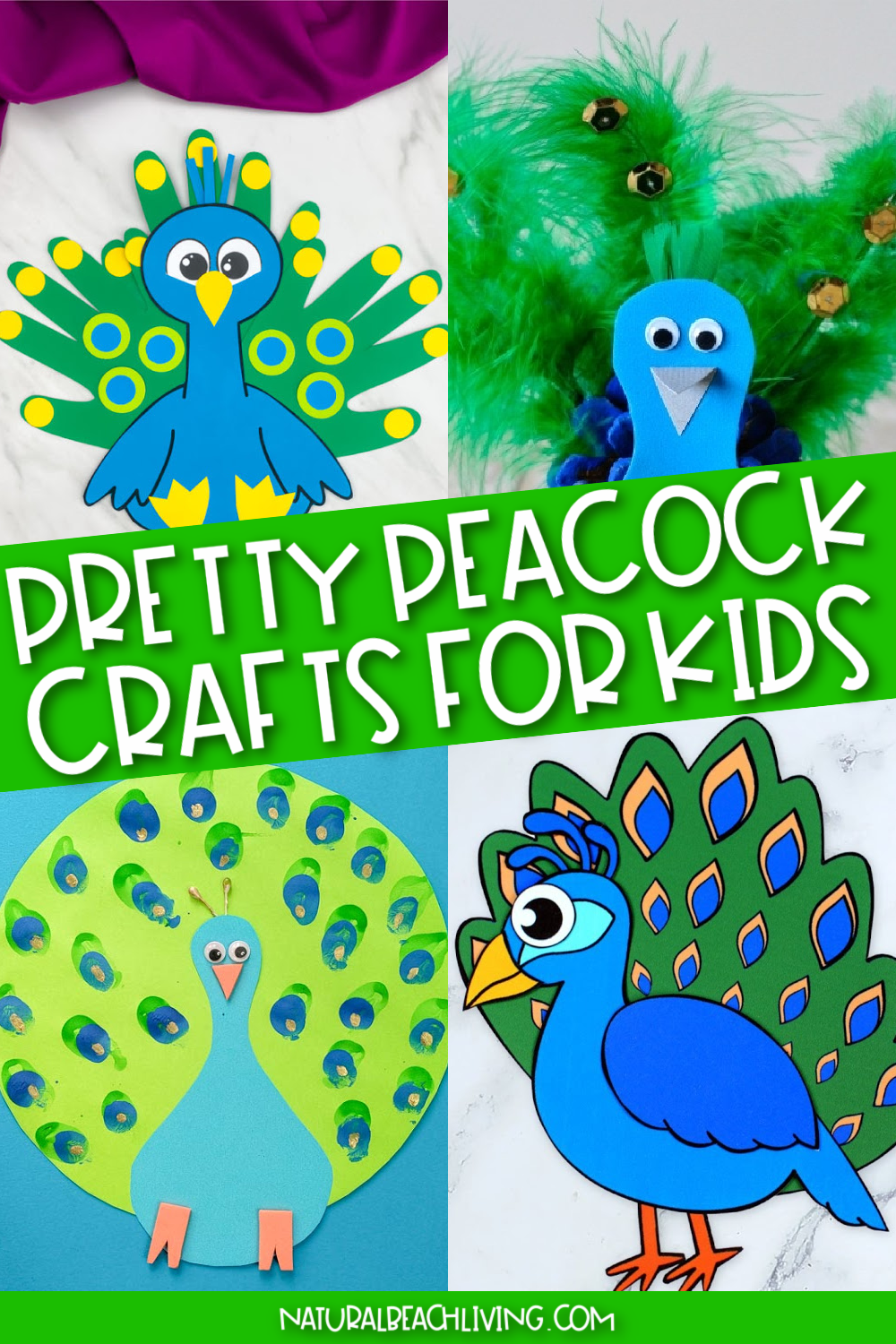 16+ Pretty Peacock Crafts for Kids