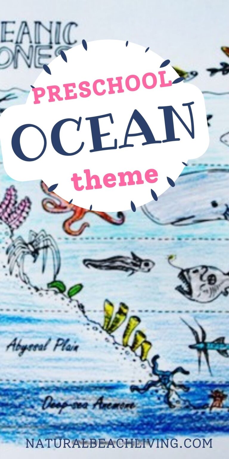 100+ Under the Sea Preschool Theme Ideas with Activities - Natural ...