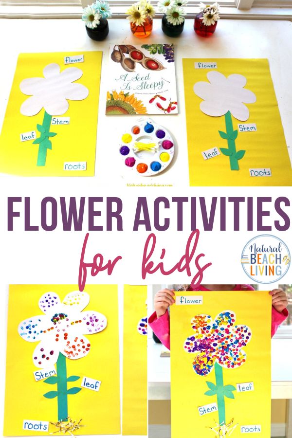 Flower Preschool Activities that are simple and inspire a love for learning. The Best Parts of a Flower Craft for Preschool and Kindergarten, Flower Crafts for Kids are Perfect for learning about flowers, Flower Science for Kids, Reggio, Flower activities for preschoolers and Kindergarten, Hands-on activities and Science ideas, Botany for Kids, Preschool Art, Preschool Crafts