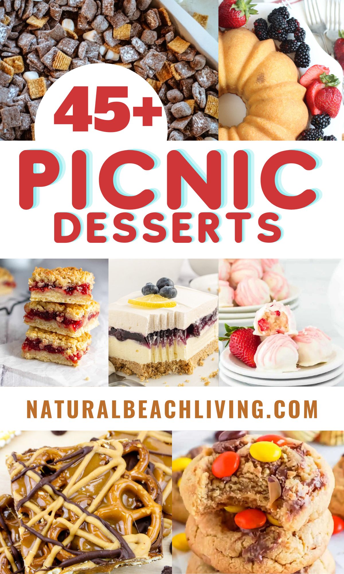 45+ Delicious Picnic Desserts That Are Perfect for Hot Days