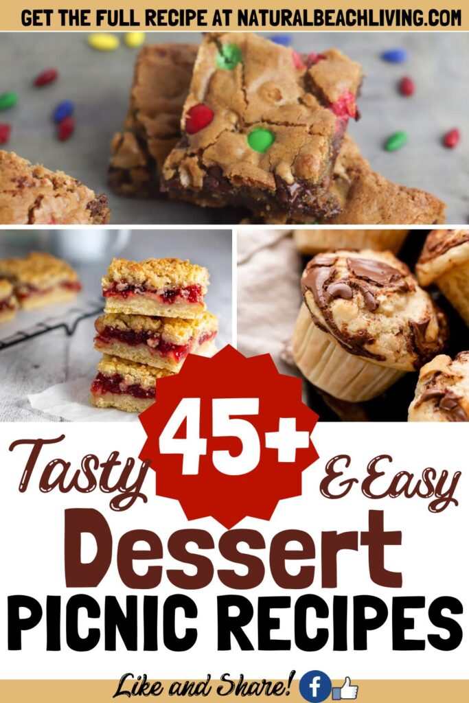 Over 45+ DELICIOUS PICNIC DESSERTS that are easy to make, transport, and enjoy, even on the hottest days. Find favorite cookies recipes, cookie bars, snack mix, easy to make treats, and so much more. Plus over 150 Picnic Food Ideas for Kids and Adults