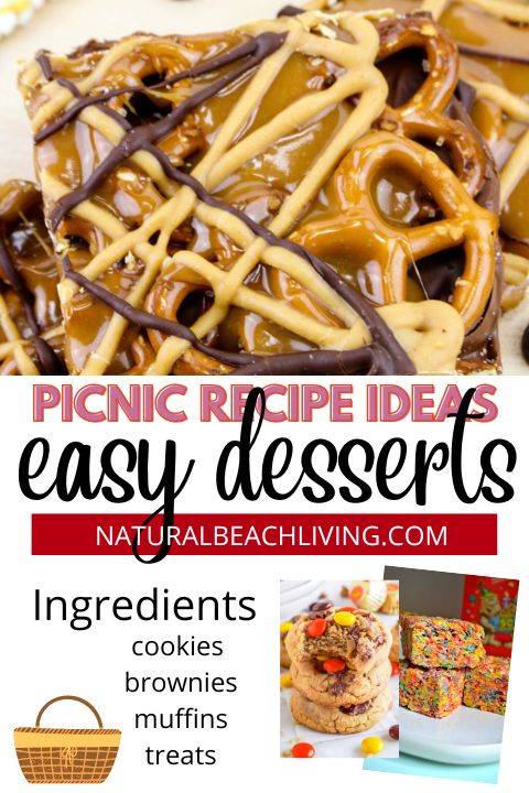 Over 45+ DELICIOUS PICNIC DESSERTS that are easy to make, transport, and enjoy, even on the hottest days. Find favorite cookies recipes, cookie bars, snack mix, easy to make treats, and so much more. Plus over 150 Picnic Food Ideas for Kids and Adults