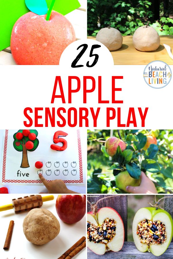 These 40 apple sensory play ideas will encourage learning and discovery. Pick a few of these activities for a Fall afternoon of apple-themed sensory fun! Find The Best Apple Sensory Play Ideas for Preschoolers, Toddlers, and kids of all ages. 