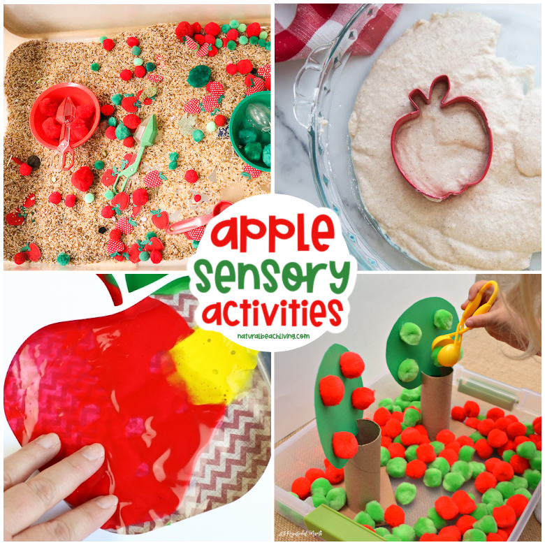 These 40 apple sensory play ideas will encourage learning and discovery. Pick a few of these activities for a Fall afternoon of apple-themed sensory fun! Find The Best Apple Sensory Play Ideas for Preschoolers, Toddlers, and kids of all ages. 