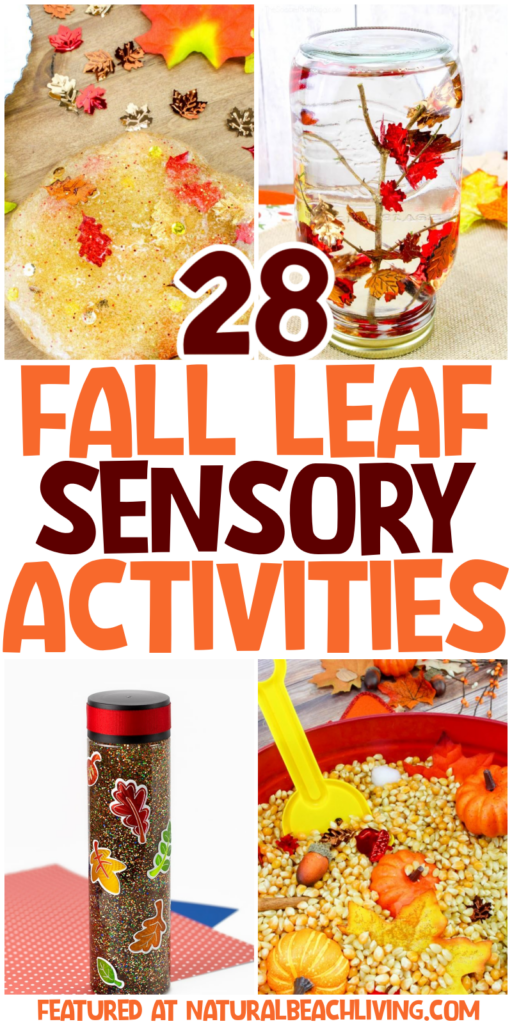 Discover fun and educational leaf activities for preschool and kindergarten! Explore nature, crafts, sensory play, science, and more through hands-on activities