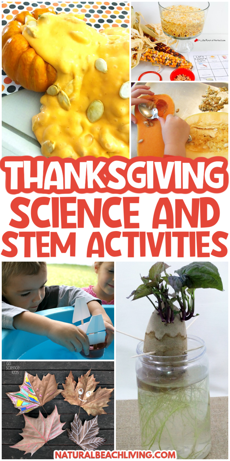 23+ Thanksgiving Science and STEM Activities: From creating a thankful tree to cranberry slime, acorn science and learning about pumpkins and turkey life cycles, there are so many exciting fall activities. 