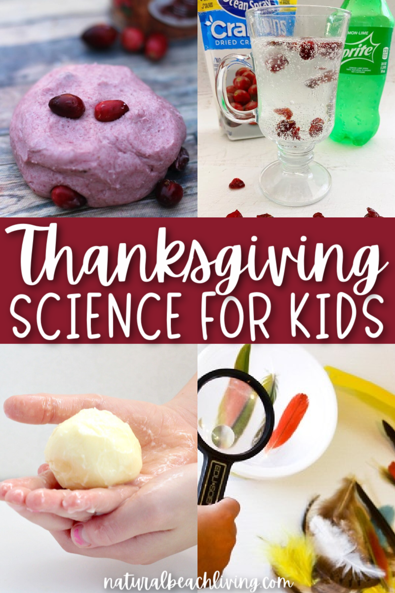 23+ Thanksgiving Science and STEM Activities