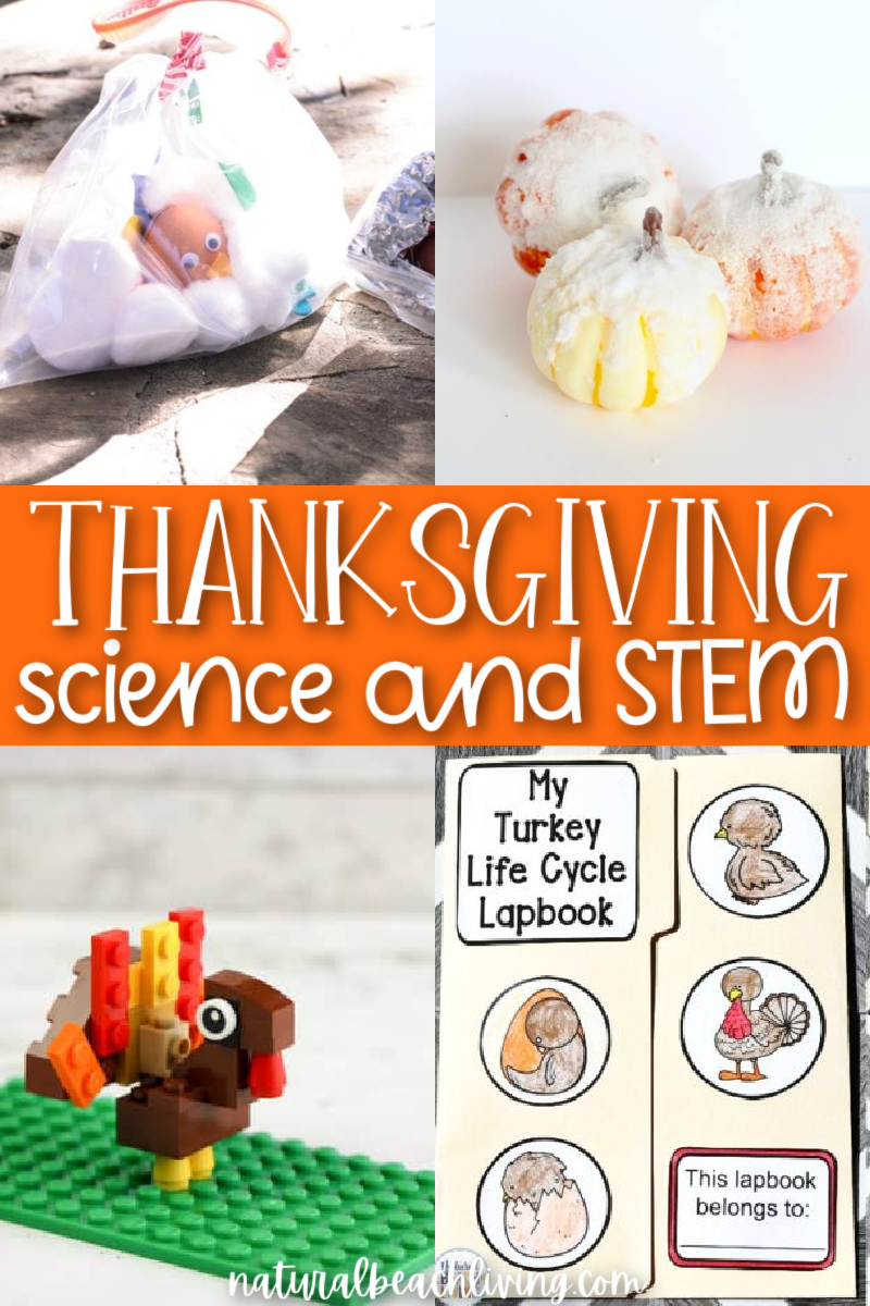 23+ Thanksgiving Science and STEM Activities: From creating a thankful tree to cranberry slime, acorn science and learning about pumpkins and turkey life cycles, there are so many exciting fall activities. 