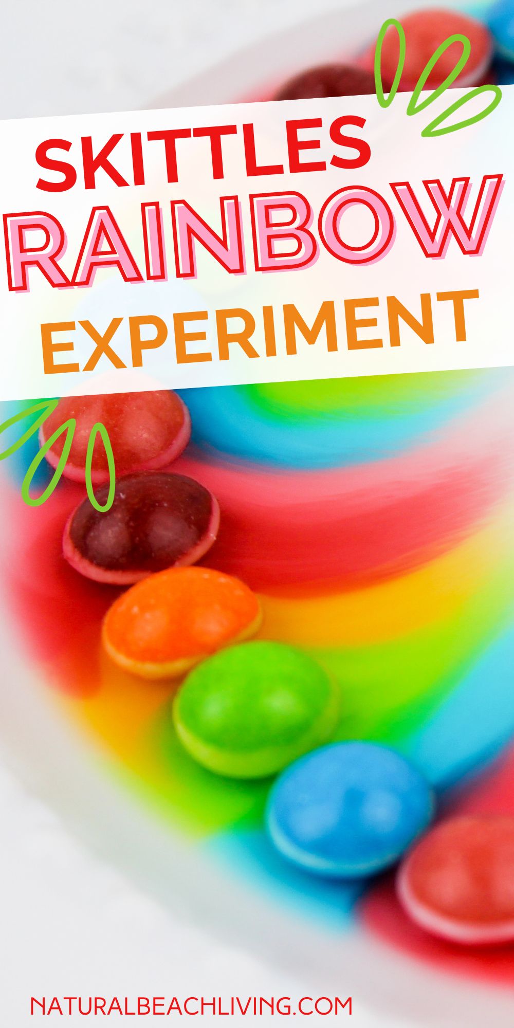 Skittles Rainbow Experiment – Science Activities for Kids