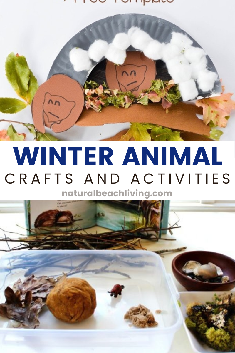 Hibernation Crafts for Preschool and Kids of all ages. Learn about Winter Animals and Winter Animal Crafts offer a fun way to explore a winter theme and the behaviors of animals during the cold months. 