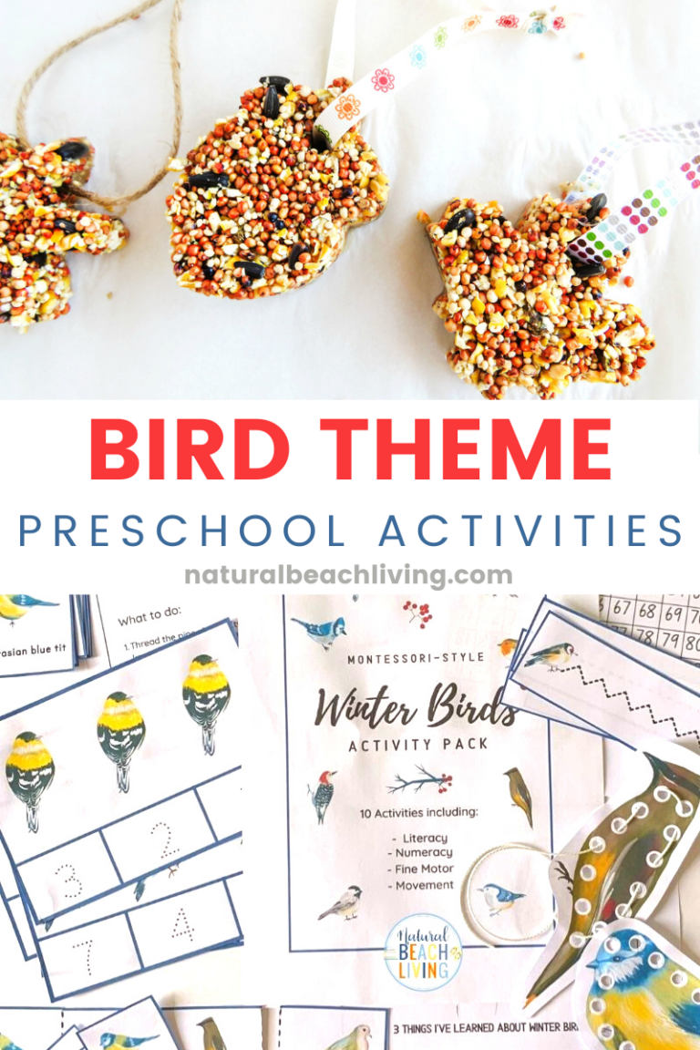 Bird Preschool Theme Activities and Lesson Plan Ideas