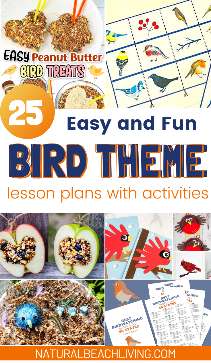 Great ideas for a Bird Theme Nature Study. An easy bird study center for kids with simple inexpensive ideas. There are so many Activities for a Bird Theme, including DIY birdfeeders, a nature study area, bird watching for kids, and more. 