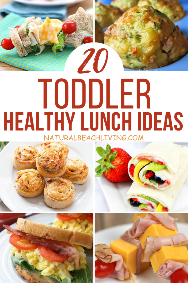 20+ Healthy Toddler Lunch Ideas