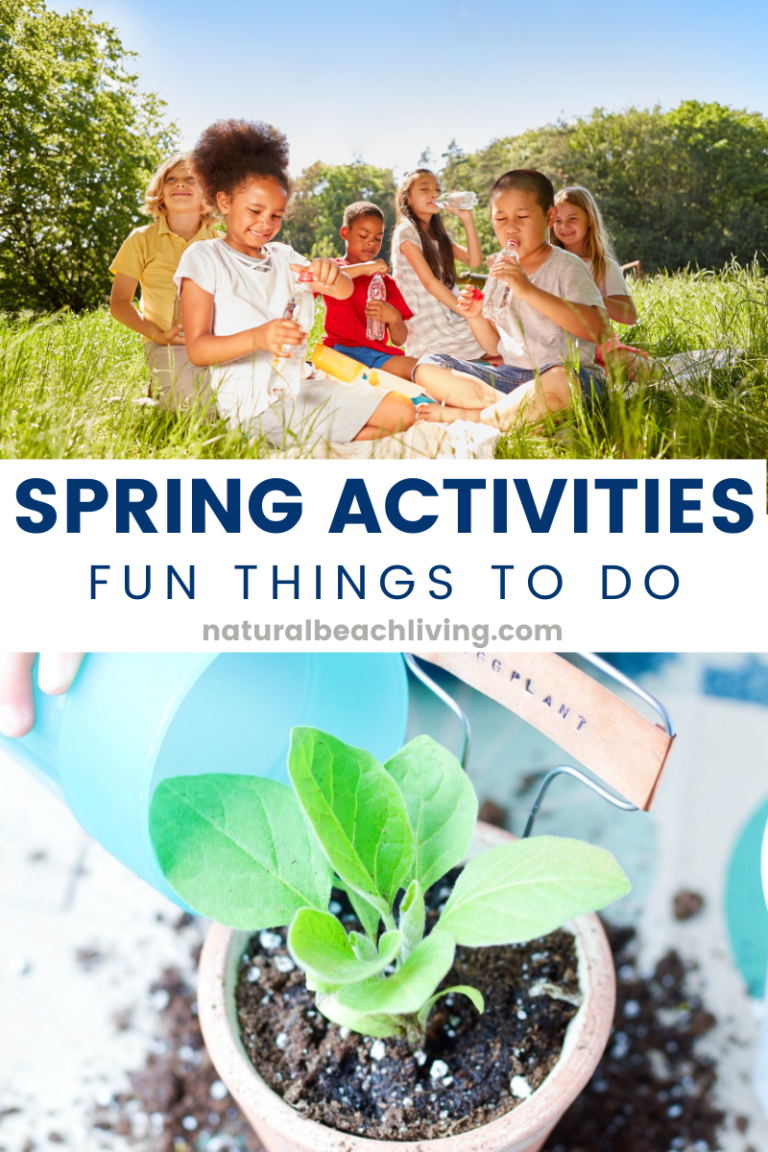 Things To Do In Spring